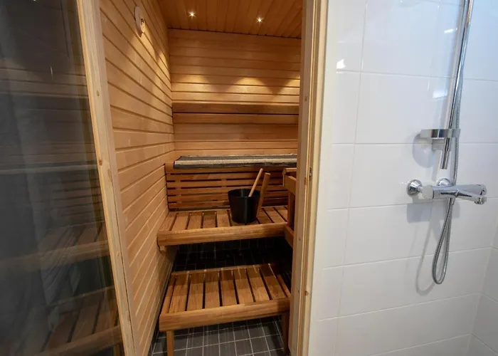 公寓 Levillenet Skistar Superior 2 Bedroom 列维